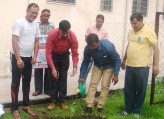 बरसात के मौसम में लगाए पौधे