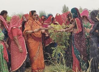 रक्षाबंधन पर पेड़ों को बांधी राखी, दिया प्रकृति संरक्षण का संदेश