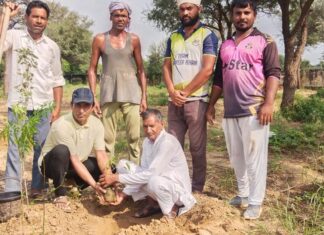 धरती को हरा भरा बनाने व पर्यावरण संरक्षण के लिए पौधारोपण ही मजबूत विकल्प : दर्जी