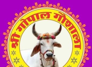 गोपाष्टमी पर श्री गोपाल गौशाला झुंझुनूं में गौ माता की पेंटिंग प्रतियोगिता होगी, रजिस्ट्रेशन 28 तक होंगे