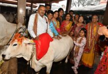 श्री गोपाल गौशाला में गोपाष्टमी पर रंग बिरंगी रंगोली सजाई