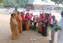 गोपाष्टमी पर की गायों की सेवा