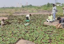 उप चुनावों में भाजपा प्रत्याशी मोरपाल सुमन के लिए केवट समाज में किया जनसंपर्क
