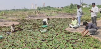 उप चुनावों में भाजपा प्रत्याशी मोरपाल सुमन के लिए केवट समाज में किया जनसंपर्क