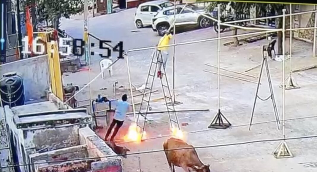 11 हजार वोल्ट लाइन की चपेट में आए भाजपा जिला उपाध्यक्ष के भाई ताराचंद सैनी, डॉक्टरों की सूझबूझ से बची जान