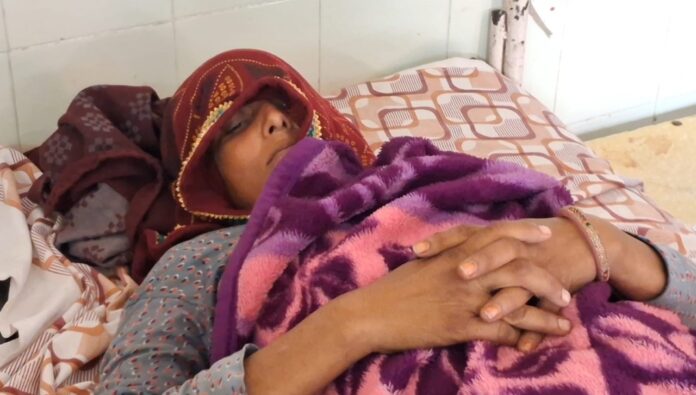 WhatsApp Image 2025-11-08 at 16.18.09 Large