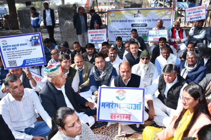 WhatsApp Image 2026-01-11 at 18.14.42 Large