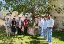 आबूसर में परिंडे लगाकर पक्षियों की प्यास बुझाने लिया संकल्प