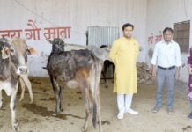 खारिया की गौशाला का नायब तहसीलदार ने किया निरीक्षण