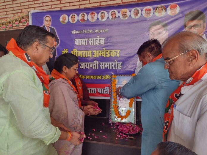 WhatsApp Image 2026-04-14 at 16.01.28 Large