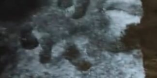 कृषि विभाग ने मानी भारी तबाही