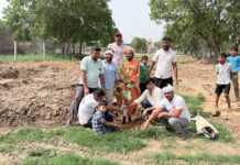 ठाडेश्वर मंदिर परिसर में हरियाली का महाअभियान: 65 पौधे रोपकर ग्रामीणों ने लिया संरक्षण का संकल्प