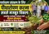 पर्यावरण सरंक्षण के लिए पौधारोपण करना सबसे मजबूत विकल्प
