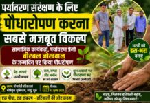 पर्यावरण सरंक्षण के लिए पौधारोपण करना सबसे मजबूत विकल्प