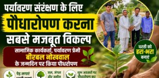 पर्यावरण सरंक्षण के लिए पौधारोपण करना सबसे मजबूत विकल्प