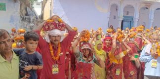 नालपुर में गूंजे भगवान के जयकारे, सैकड़ों महिलाओं ने निकाली भव्य कलश यात्रा