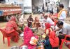 हरीयाली अमावस्या पर गौशाला में हुआ हवन यज्ञ व गौ पूजन