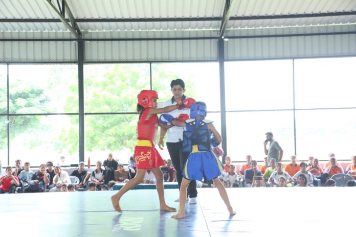 08_Wushu Large