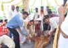 नगर परिषद परिसर में गूंजे हर-हर महादेव के जयकारे