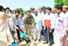 अलीपुर में हरियाली का संकल्प, एक हजार पौधों से संवरा विद्यालय परिसर