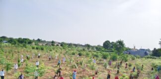 पौधों को राखी बांध महिलाओं ने गाए मंगल गीत, लिया हरियाली बचाने का संकल्प सारी गांव के जीजाडिया जोहड़ में रक्षाबंधन पर पौधों को राखी बांधती महिलाएं।