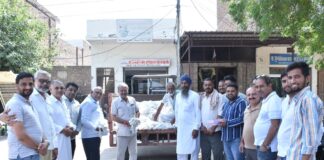हनुमानगढ़ टाउन की नई धान मंडी में ‘सफेद सोने’ की दस्तक: नरमे की पहली ढेरी ₹8511 प्रति क्विंटल बिकी