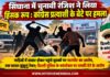 सिंघाना में चुनावी रंजिश में मारपीट, कांग्रेस प्रत्याशी के बेटे पर हमला सिंघाना वार्ड 24 में चुनावी विवाद के बाद पुलिस कार्रवाई