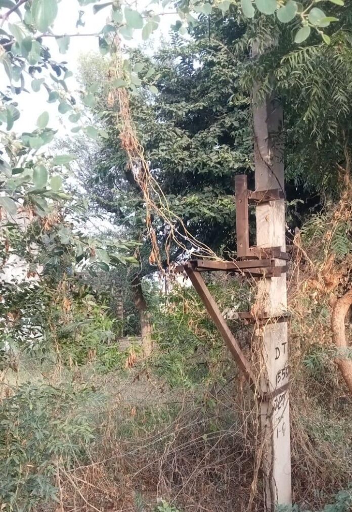 9 Large अशोकनगर गांव में बिजली के पोल से डीपी चोरी होने के बाद मौके का निरीक्षण करते बिजली विभाग के अधिकारी