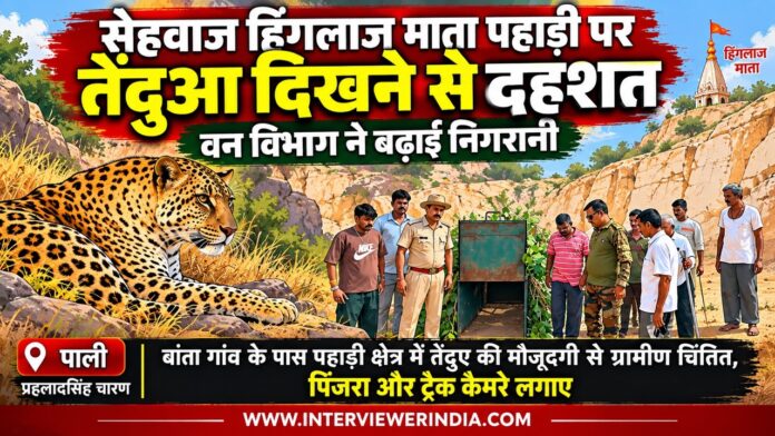 Panic after leopard sighting on Sehvaj Hinglaj Mata Hill; Forest Department steps up surveillance. सेहवाज हिंगलाज माता पहाड़ी पर तेंदुए की निगरानी के लिए वन विभाग ने पिंजरा लगाया