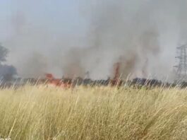 सिंघाना के गुजरवास में आग से जली बाजरे और ग्वार की कटी फसल