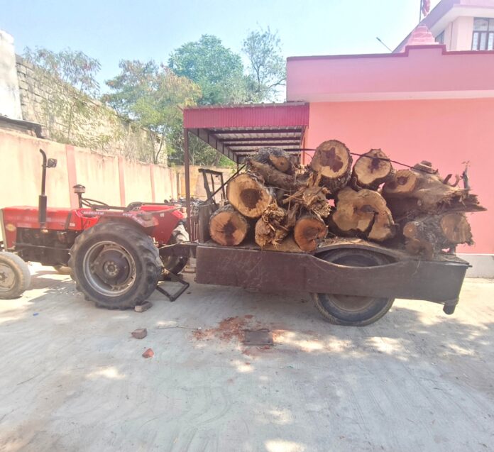 9 Large