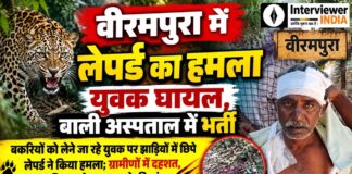 वीरमपुरा में लेपर्ड के हमले में घायल युवक कमाल नाथ