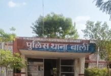बाली, पाली, बाली पुलिस, एएनटीएफ, अफीम बरामद, अफीम का दूध, हकाराम चौधरी, मिरगेश्वर, मादक पदार्थ, पुलिस कार्रवाई, नशे के खिलाफ अभियान, पाली पुलिस