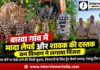 बारवा गांव में मादा लैपर्ड और शावक की दस्तक, वन विभाग ने लगाया पिंजरा बारवा गांव में मादा लैपर्ड और शावक की मौजूदगी के बाद वन विभाग द्वारा लगाया गया पिंजरा और निगरानी के लिए ट्रैप कैमरे
